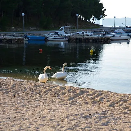 Dokoza アパート ドラゲ