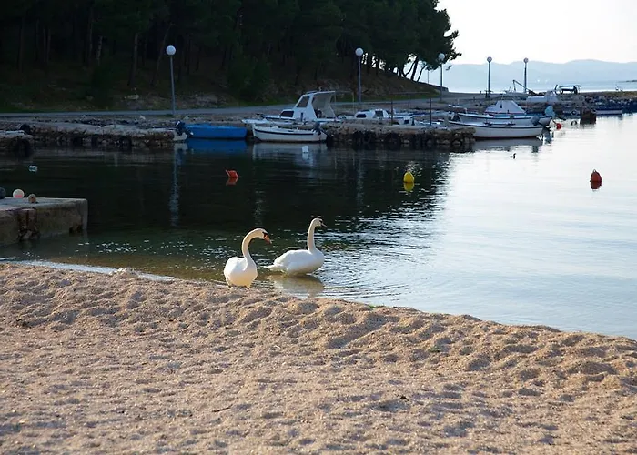 Apartmani Dokoza Апартаменты Драге